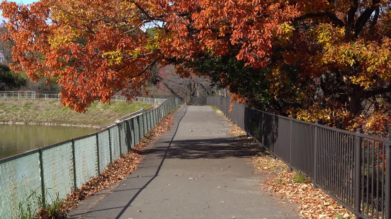 日本の公園脇の遊歩道
