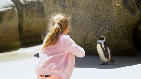 girl playing with young penguin in the beach 4k