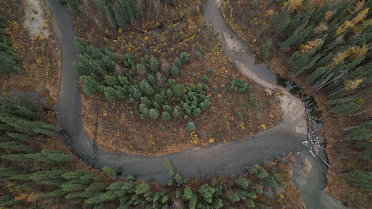 En hesteskoformet bugtning i Chena-floden, nær Chena Hot Springs, Alaska med efterårsfarver