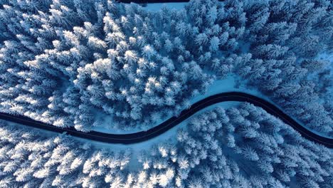 roads in snowy winter forest - bird's eye view