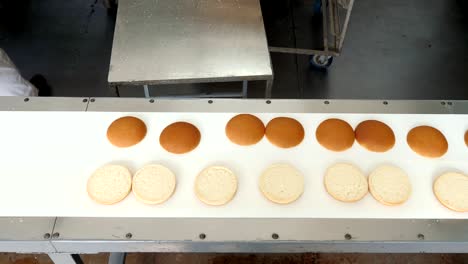 producción de productos de confitería. panes para hamburguesas en una línea de horneado