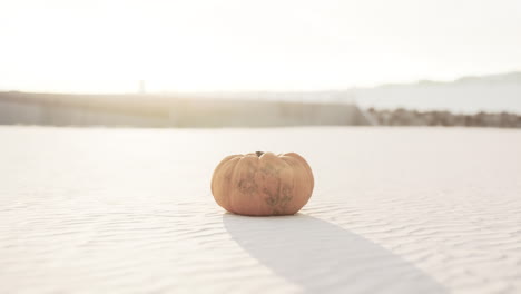 Calabaza-De-Halloween-En-Las-Dunas-De-La-Playa