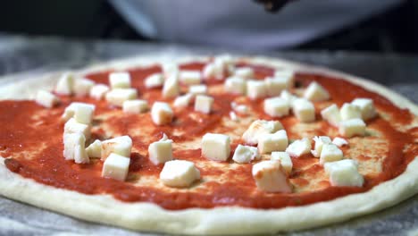 preparar y agregar queso mozzarella sobre una masa de pizza con salsa de tomate