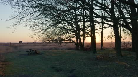 sunset in the woods