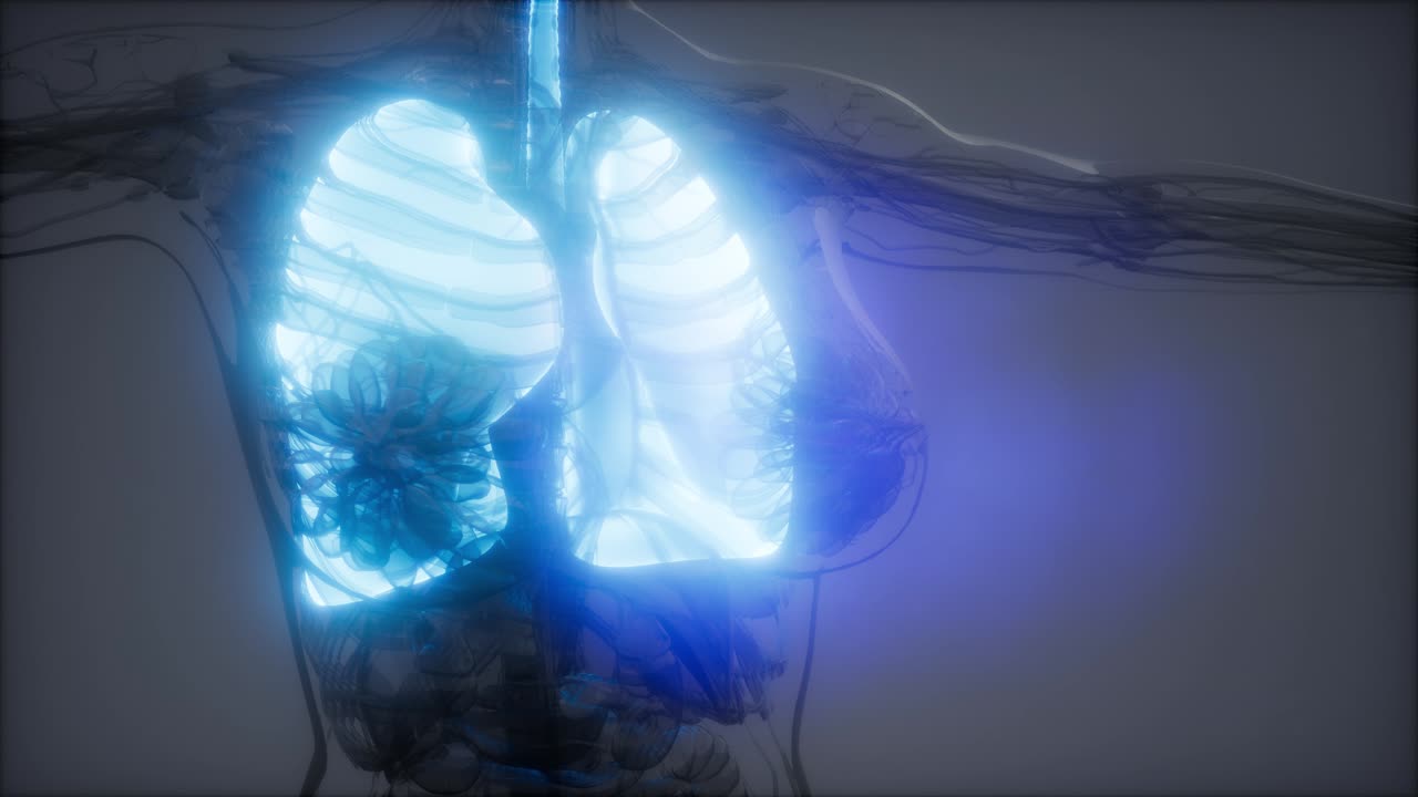 examen radiológico de los pulmones humanos