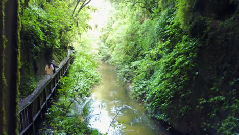 aerial tracking shot of people walking on wooden walkway next to a river in green forest