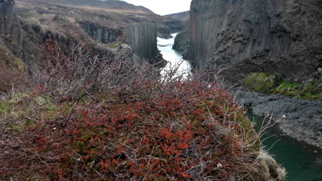 reveal of a high basalt canyon with fast-flowing green water