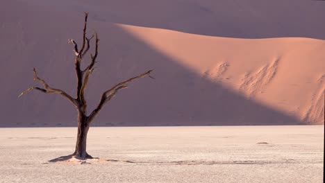 納米布國家公園 (nakluft national park) 納米布沙漠 (namib desert)