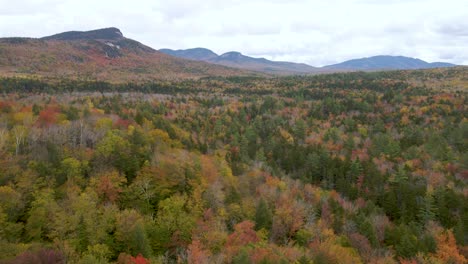 breathtaking scenic landscape of new england forest colors in the fall