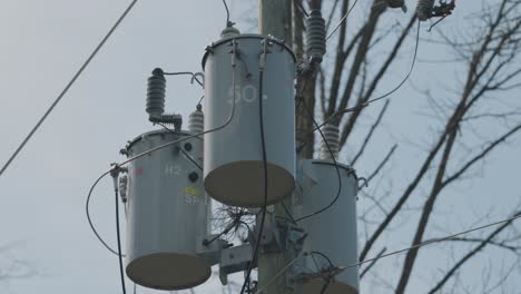 Close-up-of-three-Hydro-transformers-mounted-on-a-wood-hydro-pole-in-the-middle-of-the-woods-with-spring-trees-in-the-background-in-Gatineau,-Quebec