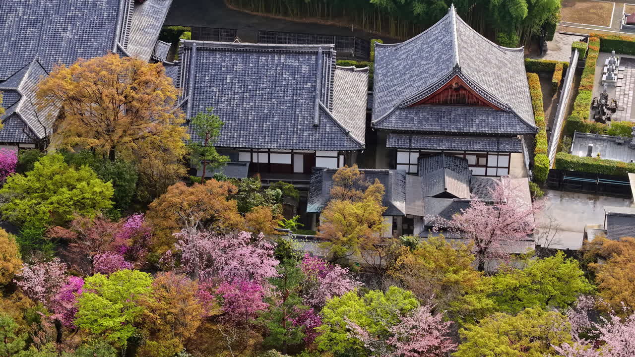 Aerial drone view of a temple surrounded by cherry blossom at sunset