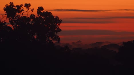 evening mist glows over peru’s tambopata rainforest, bathed in magical layers of shifting color hues of orange.