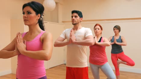 group of people performing yoga