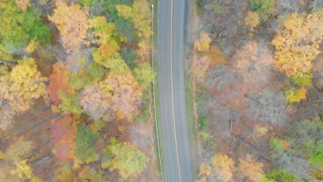 Cinematic-rotation-top-down-shot-of-a-curvy-road-in-an-autumn-coloured-forest-to-a-view-of-the-windy-road-beside-a-lake