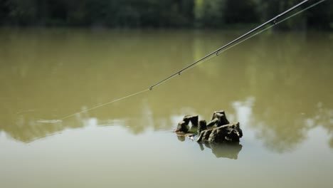 fish pulls on the float bobber of cast fishing line and escapes into murky lake