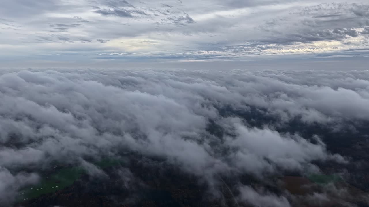 Nuvole che si alzano e turbinano sopra la fitta chioma della foresta mentre gli strati atmosferici si spostano nella delicata luce del mattino