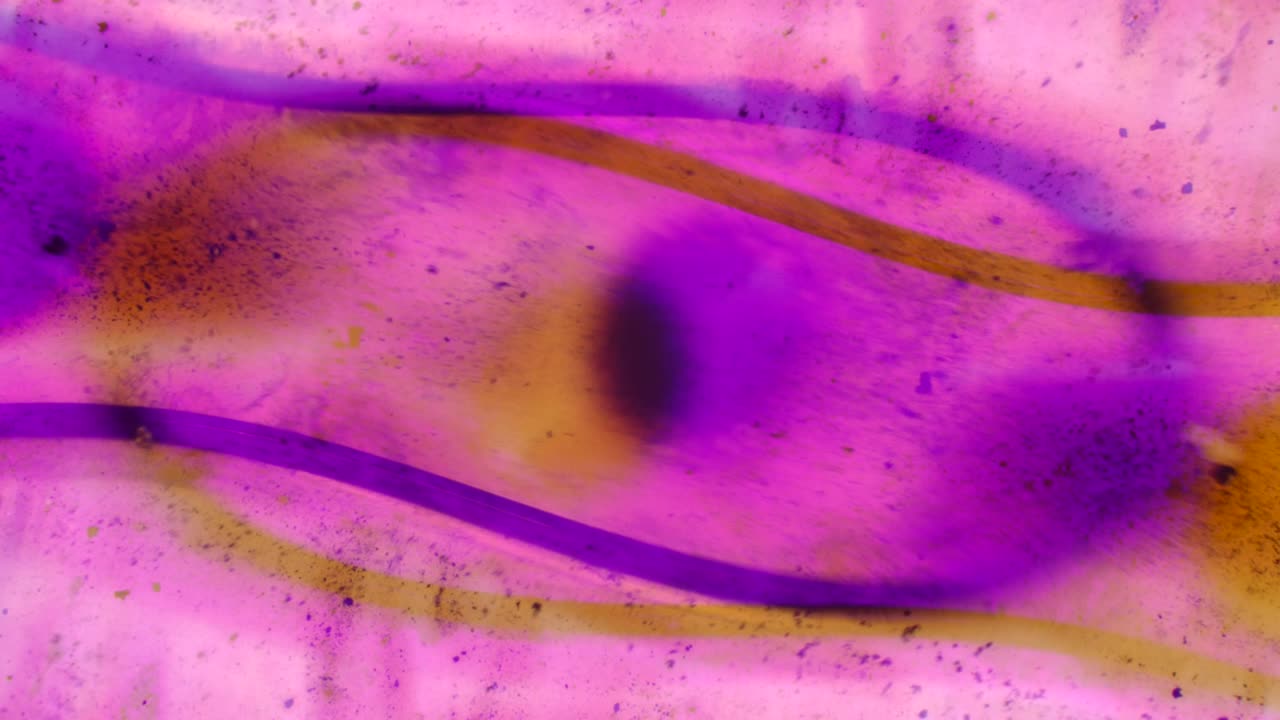 patrones abstractos de pinturas