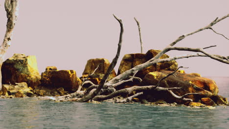 rustic landscape with rocks and water in a tranquil natural setting