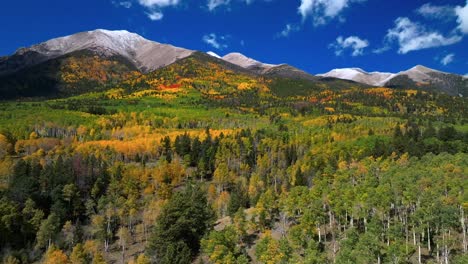 Mount Mt Shavano Tabeguache Peak aerial drone Colorado trail fall autumn Aspen Trees first snow dusting Swatch Range Salida Buena Vista morning blue sky San Isabel National Forest parallax circle left