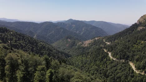 Traveling-Forest-Road-Aerial-View-2