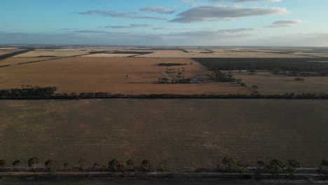 aerial panorama view of countryside in esperance area with wheat fields during dusk in western australia