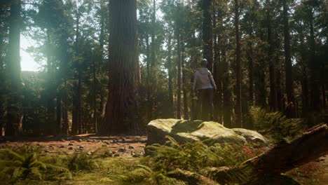 Mujer-En-El-Parque-Nacional-De-Yosimite-Cerca-De-Sequoia