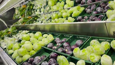 different types of cabbage at the vegetable market different types of cabbage at the vegetable market the concept of organically pure vegetables fresh vegetables in the market