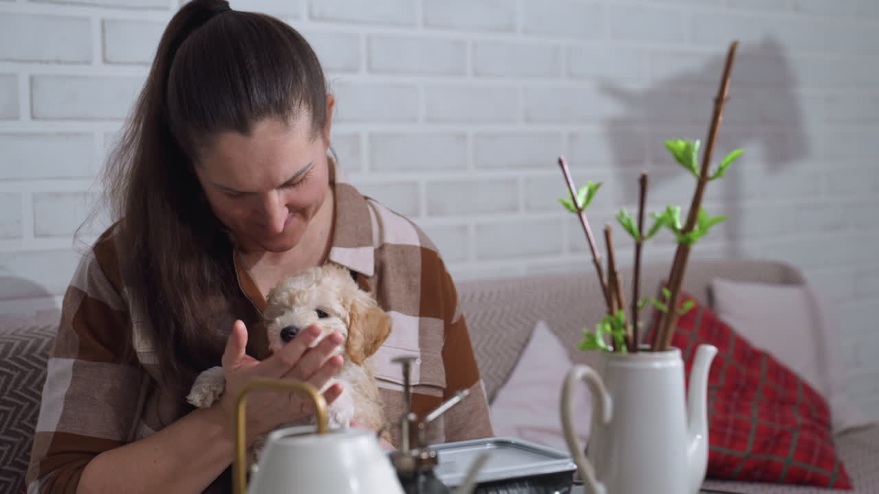 Caretaker seated on sofa gently petting fluffy Maltese dog while enjoying cozy home setting with leafy plants, soft cushions and warm ambiance capturing tender bond and affectionate pet care moment