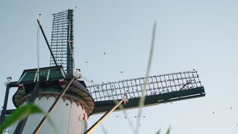 starlings perching in windmill during sunset