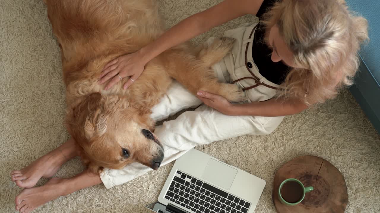 woman working with laptop and touching dog on floor at home room .