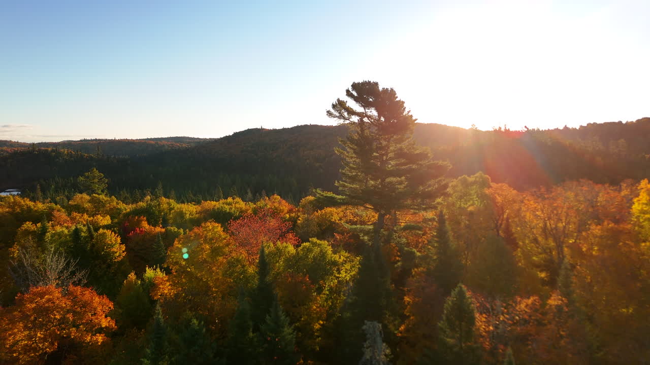 Aerial sunrise over a vibrant autumn forest with a lake, river, and mountains in Mauricie, Quebec, Canada. Warm morning light enhances the colorful landscape