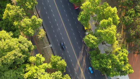 aerial top down orbital of a busy avenue with cars passing by surrounded by trees