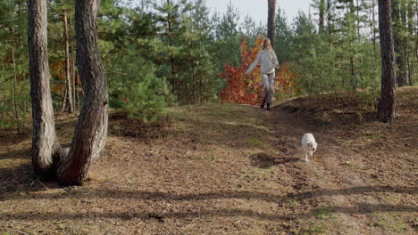 Ein-Junges-Mädchen-Rennt-Mit-Einem-Hund-Einen-Weg-In-Einem-Kiefernwald-Entlang.