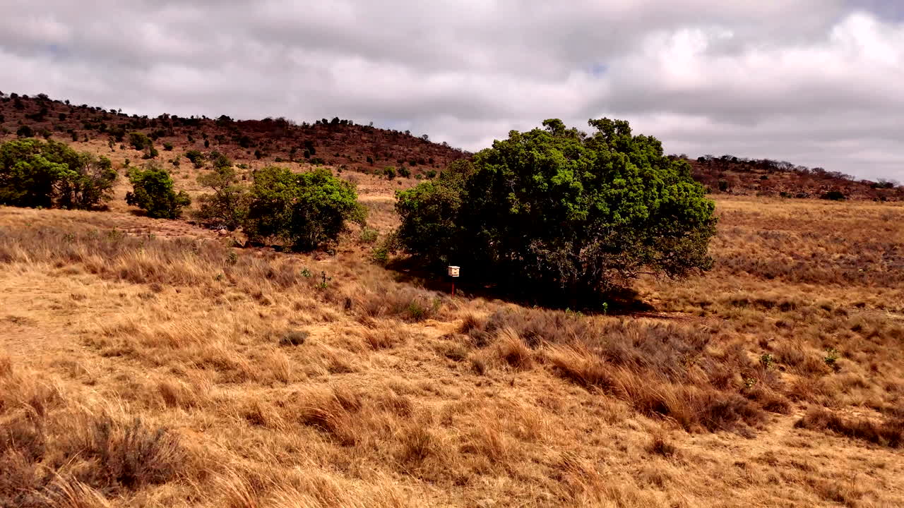 Drone zoom out: Wooden bee hive on an African farm, a reflection of conservation, nature, and the rural landscape all working together