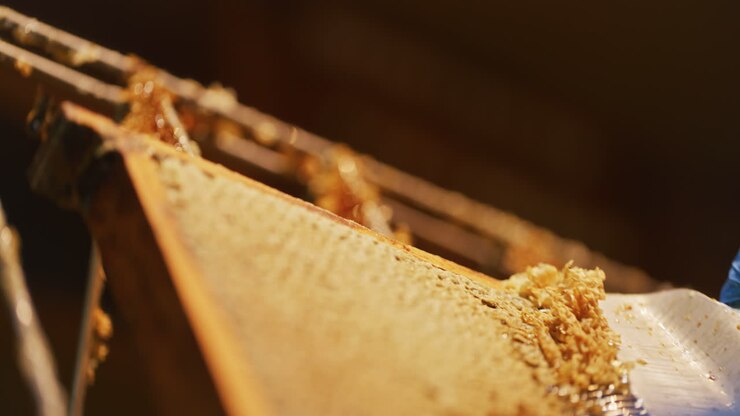 A Beekeeper Removes Wax from Honeycomb