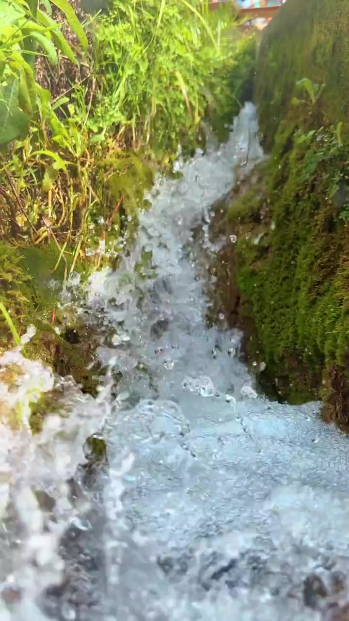 Acqua che scorre impetuosamente attraverso uno stretto canale con pareti muschiose. Primo piano di rapide e spruzzi d'acqua bianca che fluiscono attraverso una piccola e stretta gola coperta di muschio o un canale di irrigazione.