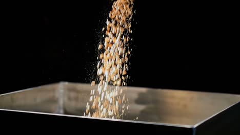 wheat grain pouring in wheat crusher machine 4k