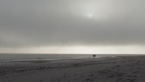 couple in distant walking on a beach on a foggy scandinavian day in slow motion and 4k