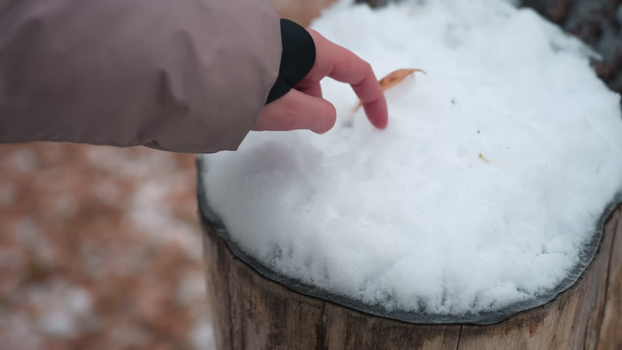 겨울 옷을 입은 여성의 손이 나무 어리 위에 신선한 눈으로 압박하는 클로즈업, 단 하나의 건조한 잎이 눈 위에 어, 평온하고 차가운 야외 겨울 풍경에 자연스러운 터치를 추가합니다.