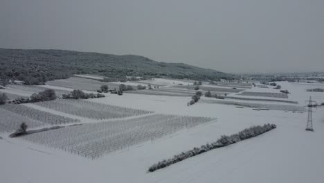 Drone-Vuela-Alto-Sobre-El-Paisaje-Invernal-Con-Montañas-Y-Viñedos