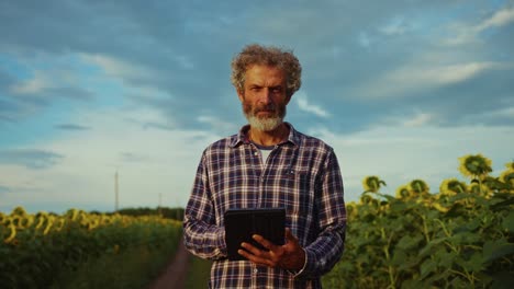 farmer using tablet in a sunflower field