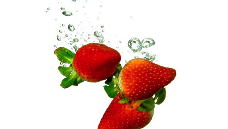 strawberries falling in water on white background