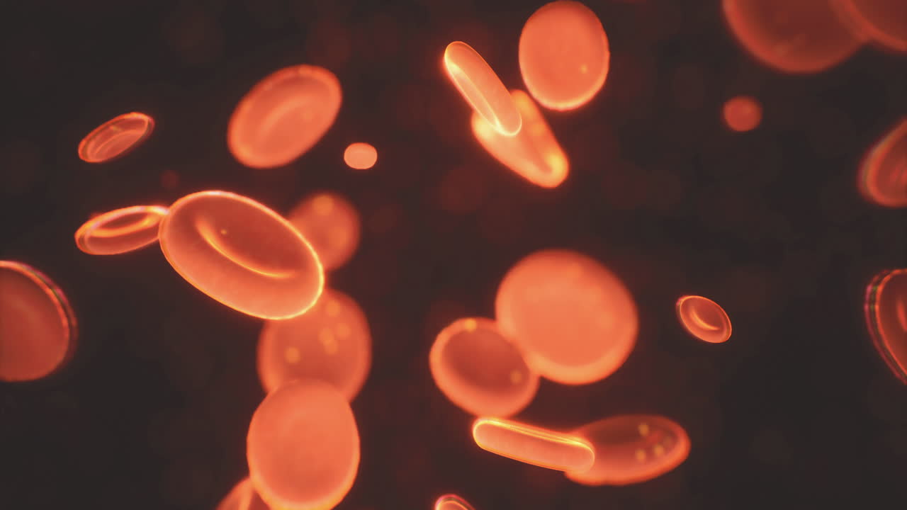 Exploring the dynamic world of red blood cells in a vibrant environment