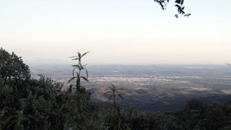 Green-meadow-surrounded-by-trees-with-many-hills-close-by,-overlooking-the-city-in-the-distance