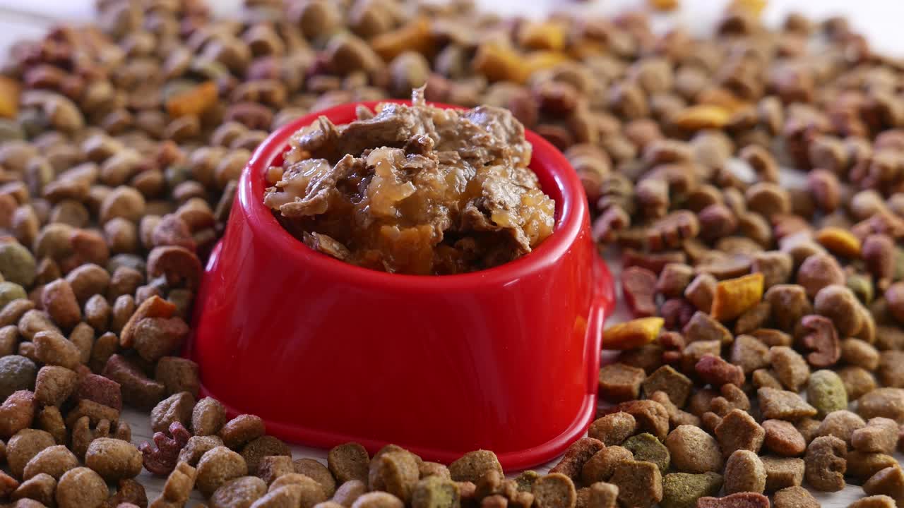 el cuenco rojo con comida húmeda para mascotas gira