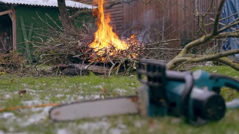 Burning-freshly-cut-apple-tree-branches-during-snowfall