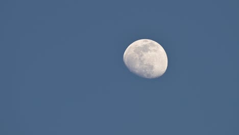 time lapse, stunning view of a bright half full moon moving on a dark blue sky.