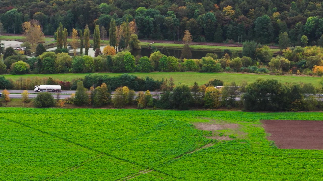 Veduta aerea di un campo verde e di un'autostrada con traffico dietro la fila di alberi, Repubblica Ceca.