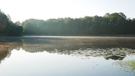 fog creeping along the surface of the lake at sunrise in early morning. misty. timelapse