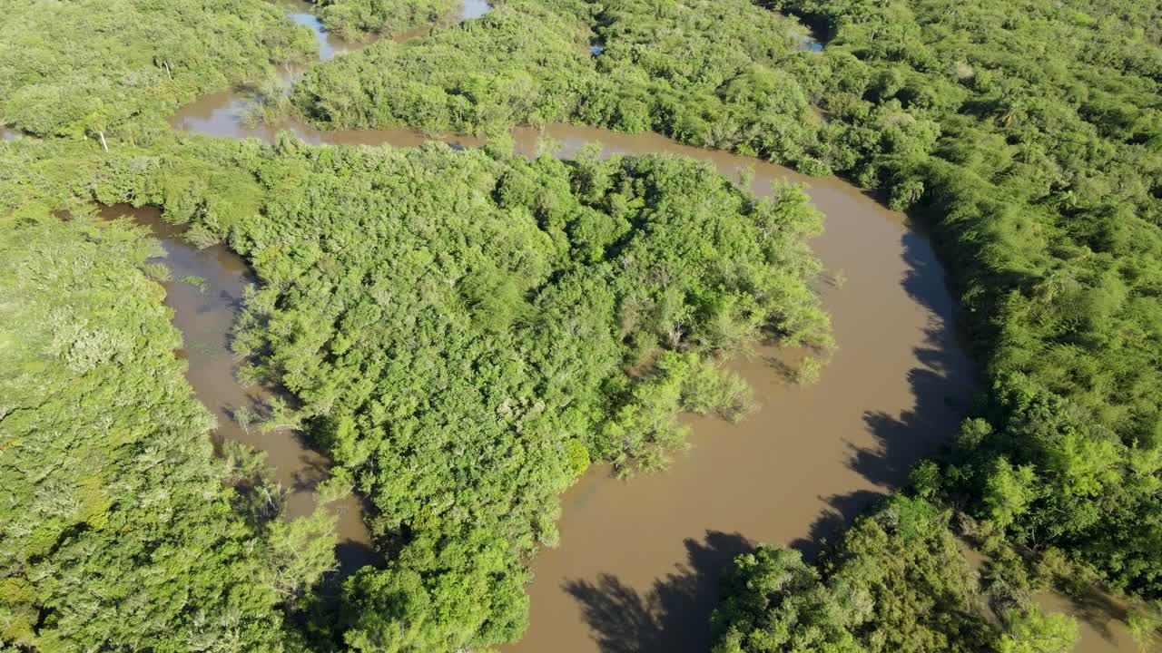 tibagi 강 유역에 있는 강기슭 숲, paraná state, brazil, 공중 전망